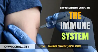 Boosting Immunity: The Science Behind Vaccinations and Immune Response