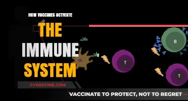 Unleashing Immunity: The Science Behind Vaccine Activation