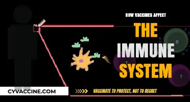 Boosting Immunity: The Science Behind Vaccine Efficacy
