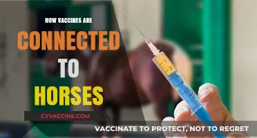 Unraveling the Link: Vaccines and Their Equine Connections