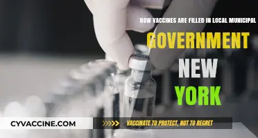 Vaccine Distribution: How Local NYC Governments Manage Supply and Access