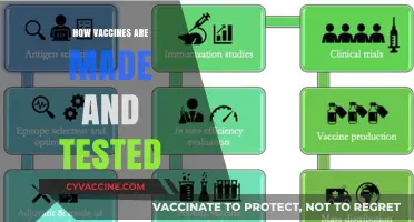 Decoding the Science: How Vaccines Are Made and Tested