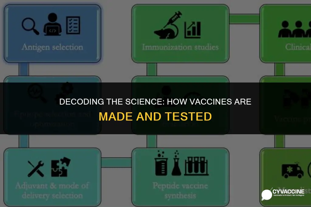 how vaccines are made and tested