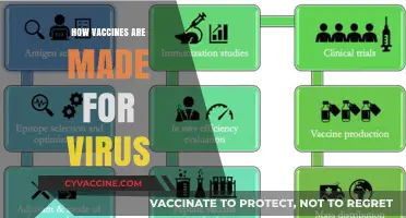 Decoding the Science: How Vaccines Combat Viruses