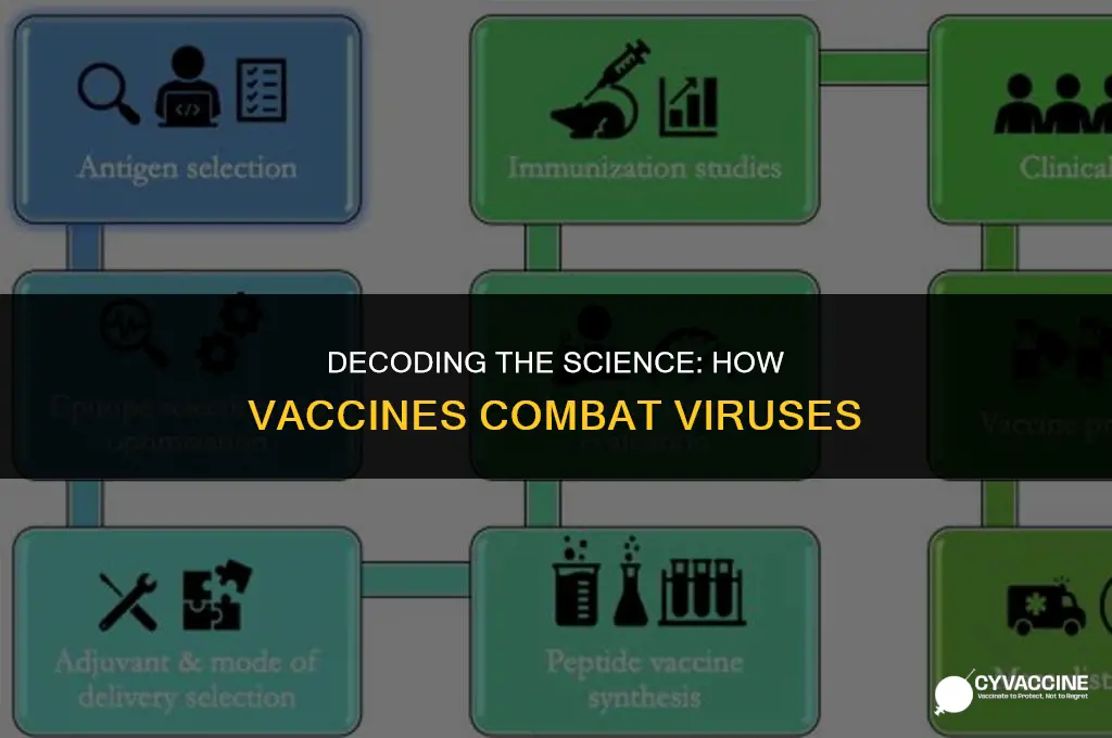 how vaccines are made for virus