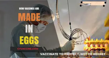 Cracking the Code: The Surprising Role of Eggs in Vaccine Production