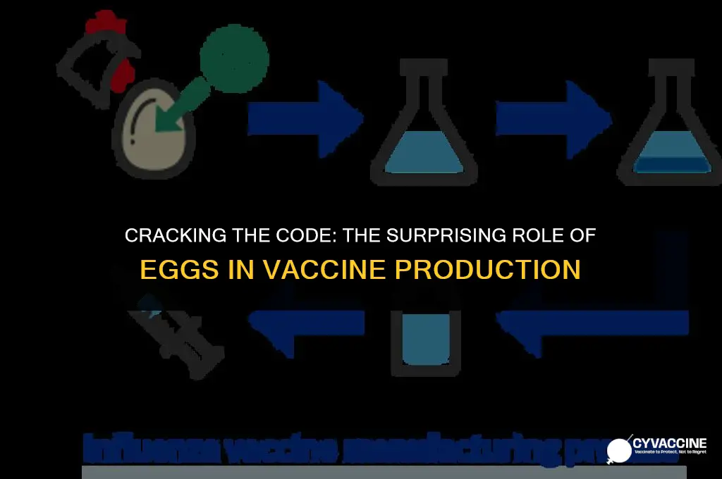 how vaccines are made in eggs