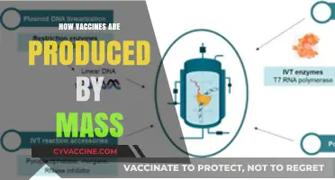 The Intricate Process of Mass Vaccine Production Unveiled