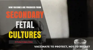 Vaccine Production: The Role of Secondary Fetal Cultures Explained