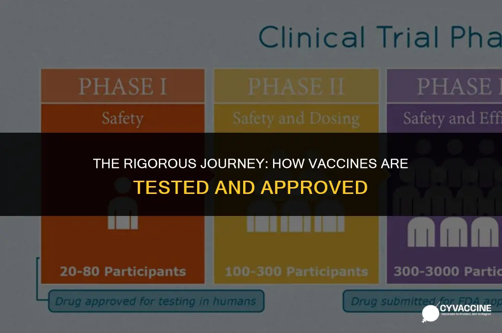 how vaccines are tested and approved