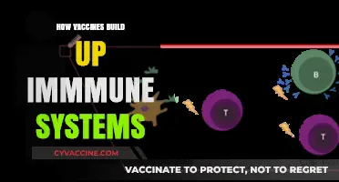 Boosting Immunity: The Science Behind Vaccine Efficacy