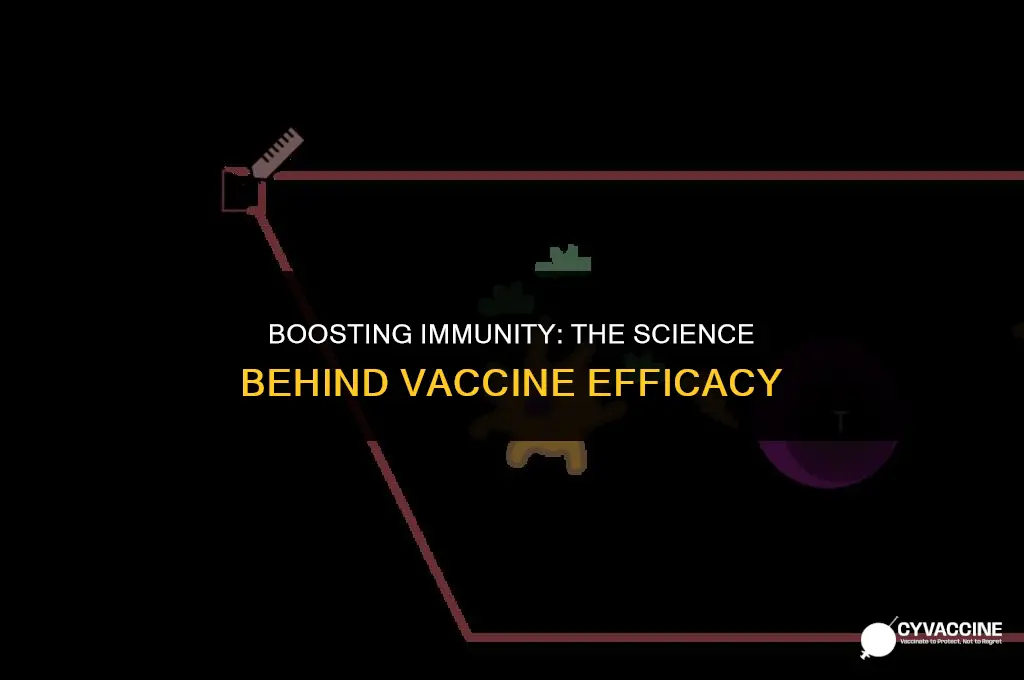 how vaccines build up immmune systems