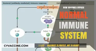 Decoding Vaccine Immunity: How Shots Outsmart Our Body's Defenses