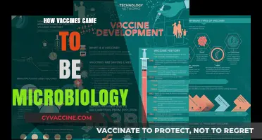 From Microbes to Medicine: The Fascinating Journey of Vaccines