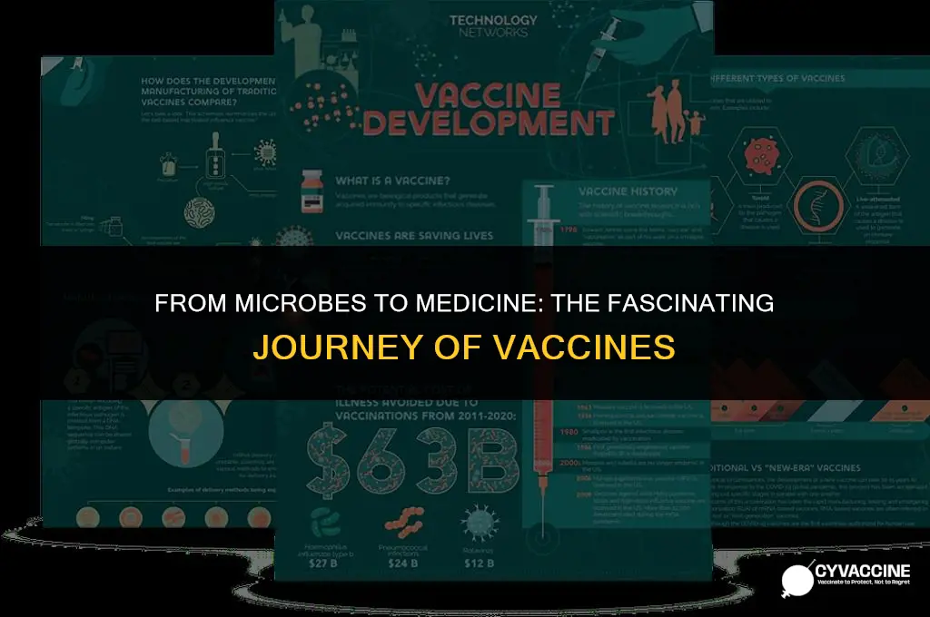 how vaccines came to be microbiology