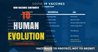 Vaccines: A Catalyst for Human Evolution and Health