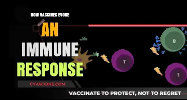 Unleashing Immunity: The Science Behind Vaccine-Induced Protection