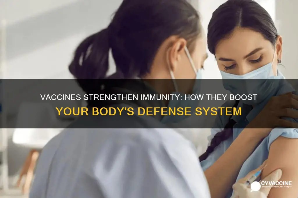 how vaccines have a positive impact on your immune system