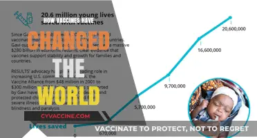 Revolutionizing Global Health: The Transformative Power of Vaccines