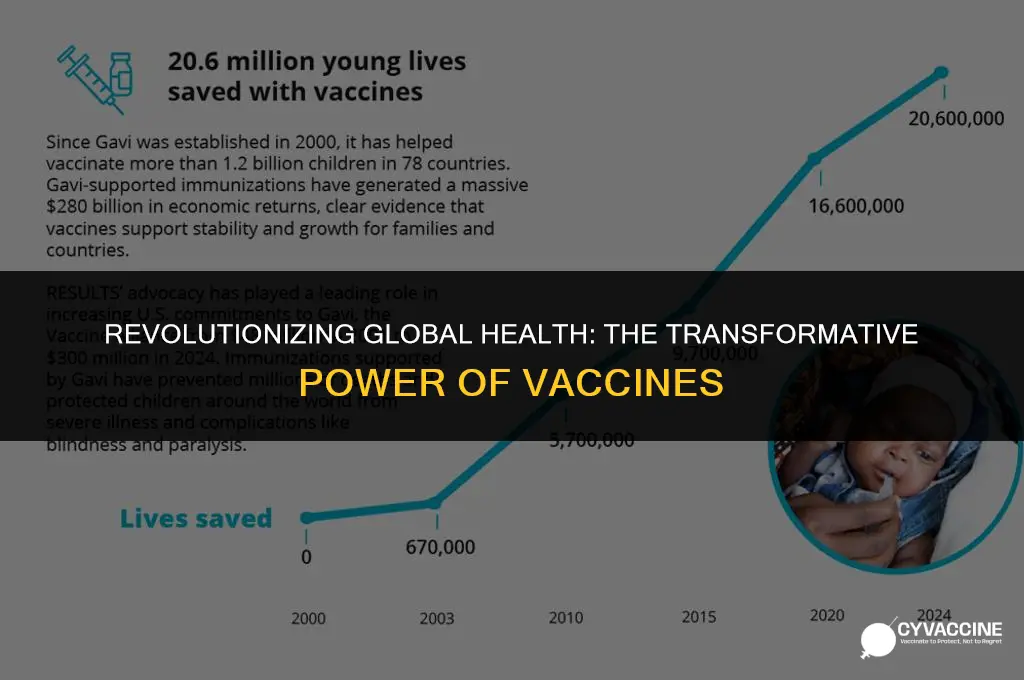 how vaccines have changed the world