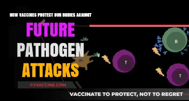 Vaccines: Our Body's Shield Against Future Pathogen Attacks