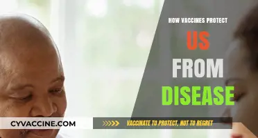 Shielding Humanity: The Power of Vaccines Against Diseases