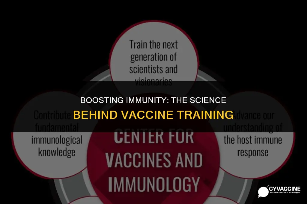 how vaccines train the immune system