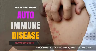 Exploring the Link: Vaccines and Autoimmune Disease Triggers