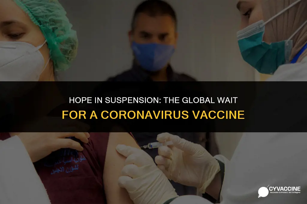 how waiting for a coronavirus vaccine