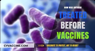 Unveiling Ancient Remedies: The Pre-Vaccine Era of Anthrax Treatment