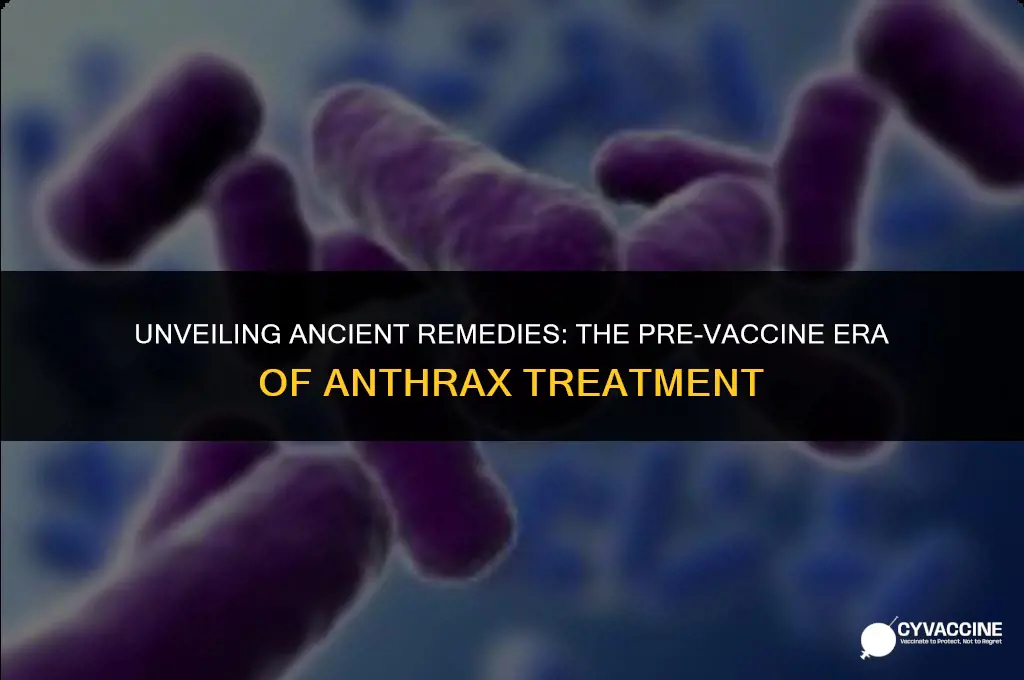 how was anthrax treated before vaccines