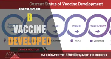 Decoding the Breakthrough: The Journey of Hepatitis B Vaccine Development