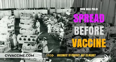 Unveiling the Past: How Polio Spread Before the Vaccine Era