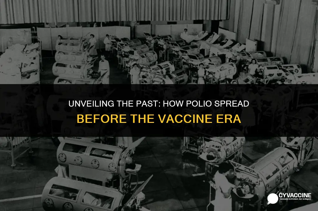 how was polio spread before vaccine