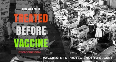 Polio's Dark Past: Treatments Before the Vaccine Era
