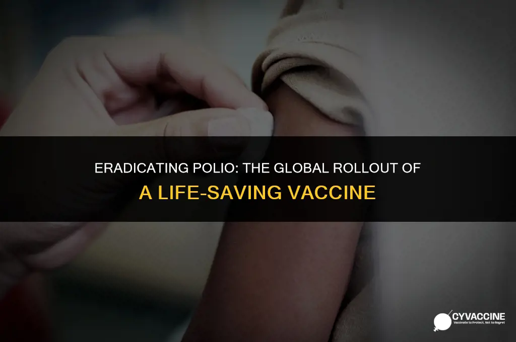 how was polio vaccine rolled out