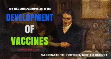 Smallpox's Legacy: Pioneering the Path to Modern Vaccines