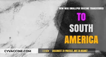Smallpox Vaccine's Journey: Transferring Immunity to South America