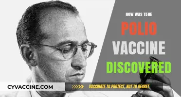 Unveiling the Breakthrough: The Inspiring Journey of the Polio Vaccine Discovery