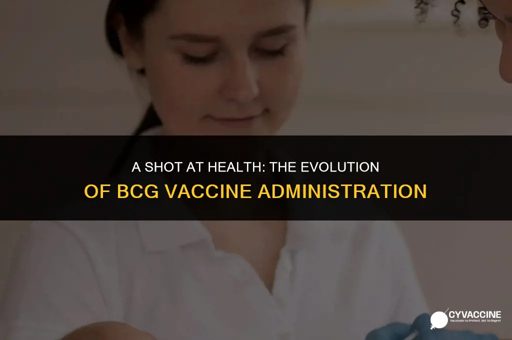 how was the bcg vaccine administered