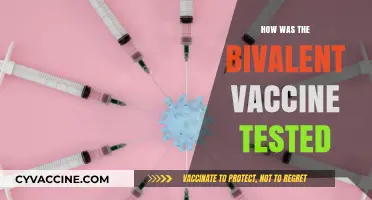 Decoding the Science: How the Bivalent Vaccine Underwent Rigorous Testing