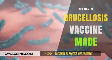 Decoding the Development of the Brucellosis Vaccine: A Scientific Journey
