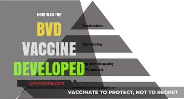 Decoding the Breakthrough: The Journey of BVD Vaccine Development