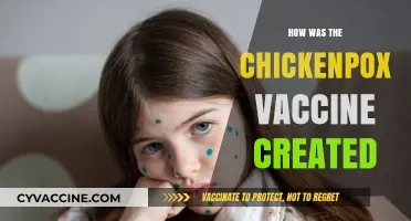 Unveiling the Breakthrough: The Creation of the Chickenpox Vaccine