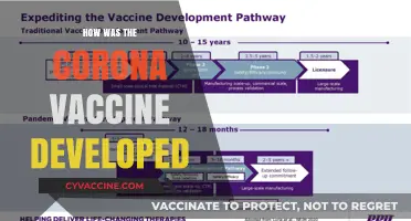 Decoding the Breakthrough: Inside the Creation of the COVID-19 Vaccine