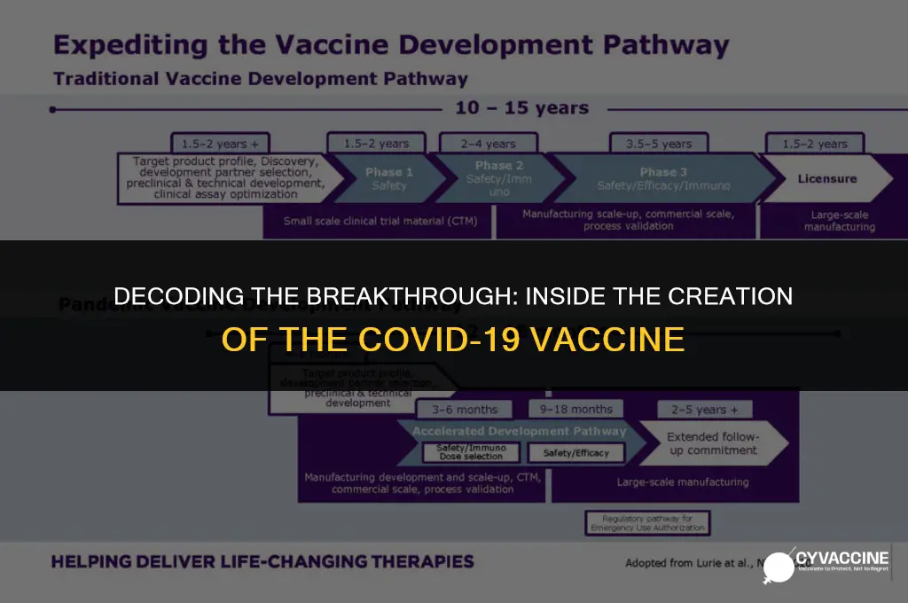 how was the corona vaccine developed