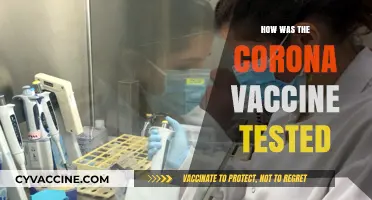 Decoding the Rigorous Testing Process Behind the COVID-19 Vaccine