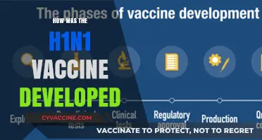 Decoding the Development of the H1N1 Vaccine: A Scientific Journey