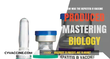 Mastering Biology: The Science Behind Hepatitis B Vaccine Production