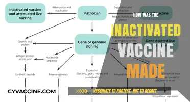 Decoding the Science: How Inactivated Vaccines are Created